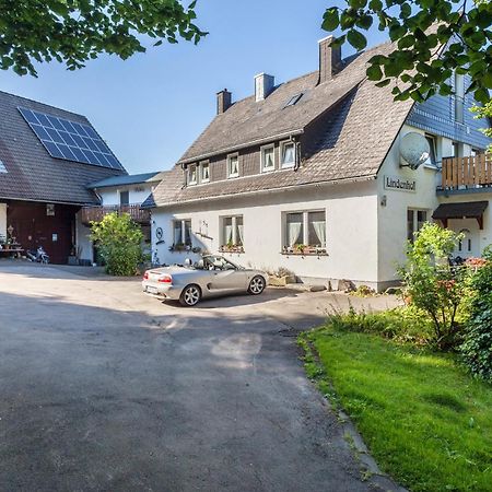 Ferienwohnungen Lindenhof Willingen  Exterior foto